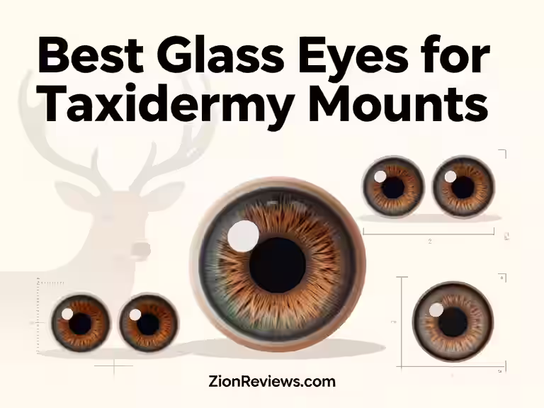 7 Best Glass Eyes for Taxidermy Mounts (Expert Picks) 3 best-glass-eyes-for-taxidermy-mounts-top-picks