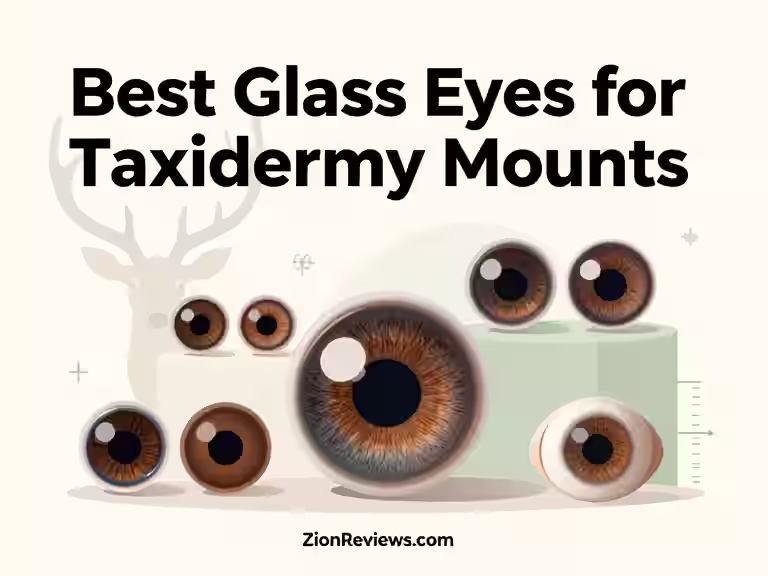 7 Best Glass Eyes for Taxidermy Mounts (Expert Picks) 2 best-glass-eyes-for-taxidermy-mounts